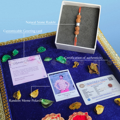 Rudraksha Rakhi